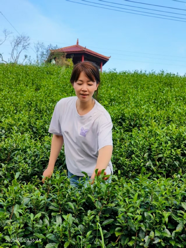 Q绮芳的第一张照片--莆田基督教相亲网